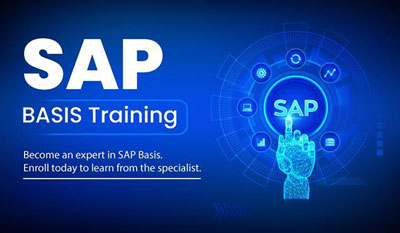 SAP BASIS Training