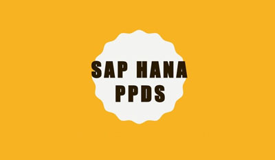 SAP PPDS Training