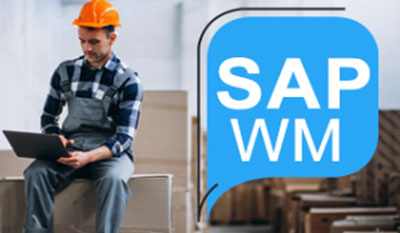 SAP WM Training