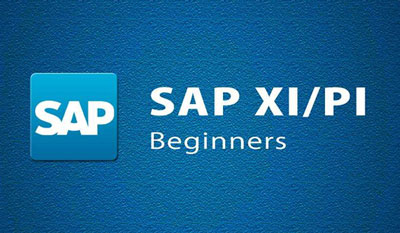 SAP XI Training