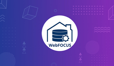 WebFOCUS Training